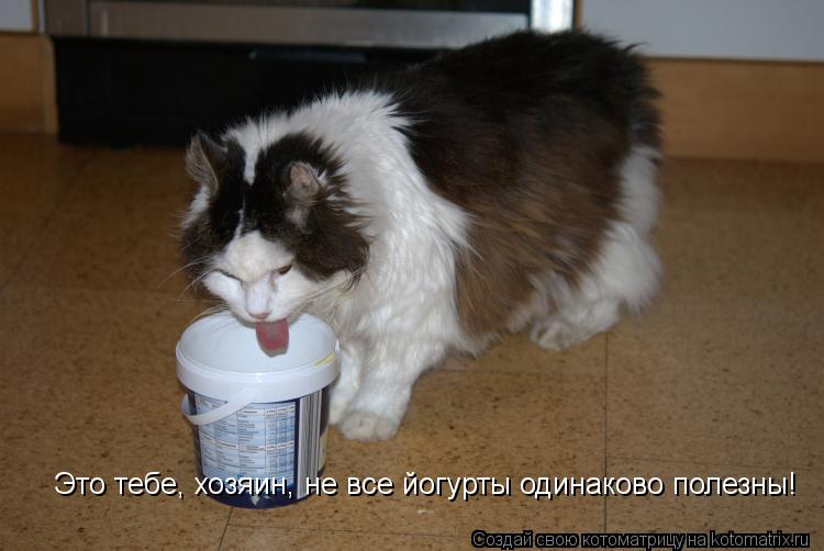 Это тебе, хозяин, не все йогурты одинаково полезны!... Котоматрица: Это тебе, хозяин, не все йогурты одинаково полезны!