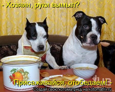 - Хозяин, руки вымыл? Присаживайся, отобедаем! -... Котоматрица: - Хозяин, руки вымыл? Присаживайся, отобедаем! -