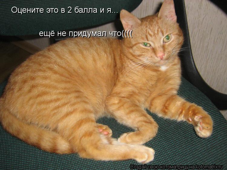 Оцените это в 2 балла и я... ещё не придумал что((((... Котоматрица: Оцените это в 2 балла и я... ещё не придумал что((((