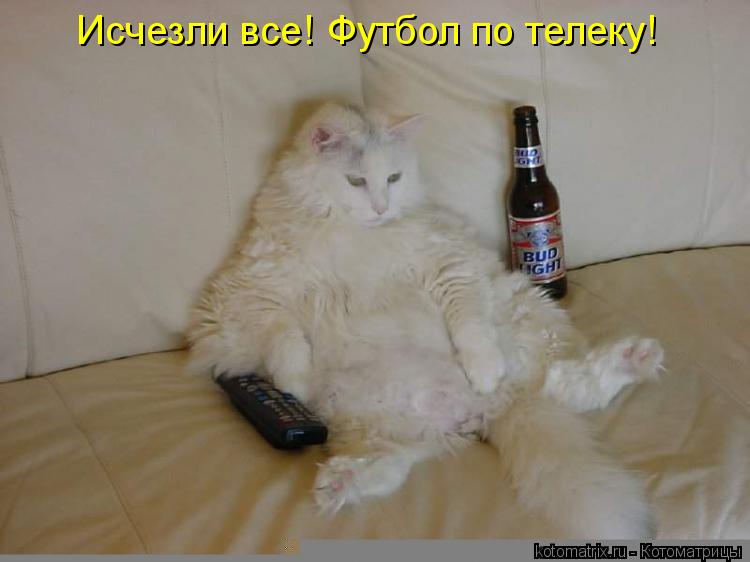 Исчезли все! Футбол по телеку!... Котоматрица: Исчезли все! Футбол по телеку!