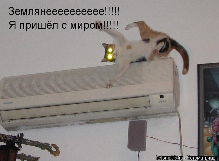 Землянееееееееее!!!!! Я пришёл с миром!!!!!... Котоматрица: Землянееееееееее!!!!! Я пришёл с миром!!!!!