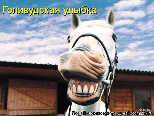 Голивудская улыбка... Котоматрица: Голивудская улыбка