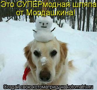 Это СУПЕРмодная шляпа от Мордашкина!... Котоматрица: Это СУПЕРмодная шляпа от Мордашкина!