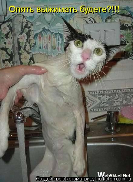 Опять выжимать будете?!!!... Котоматрица: Опять выжимать будете?!!!