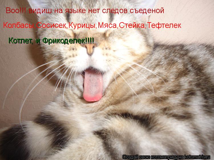 Воо!!! видиш на языке нет следов съеденой Колбасы,Сосисек,Курицы,Мяса,Стейка,Тефтелек Котлет, и Фрико... Котоматрица: Воо!!! видиш на языке нет следов съеденой Колбасы,Сосисек,Курицы,Мяса,Стейка,Тефтелек Котлет, и Фрикоделек!!!!