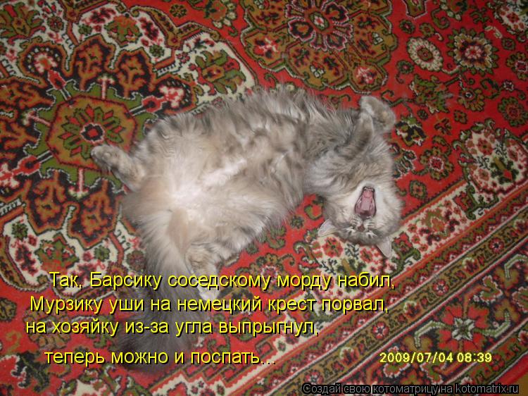 Так, Барсику соседскому морду набил, Мурзику уши на немецкий крест порвал, на хозяйку из-за угла выпр... Котоматрица: Так, Барсику соседскому морду набил, Мурзику уши на немецкий крест порвал, на хозяйку из-за угла выпрыгнул, теперь можно и поспать...