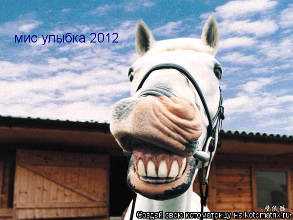 мис улыбка 2012 \|/... Котоматрица: мис улыбка 2012 \|/