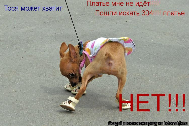 Платье мне не идёт!!!!! Пошли искать 304!!!! платье Тося может хватит НЕТ!!!!... Котоматрица: Платье мне не идёт!!!!! Пошли искать 304!!!! платье Тося может хватит НЕТ!!!!