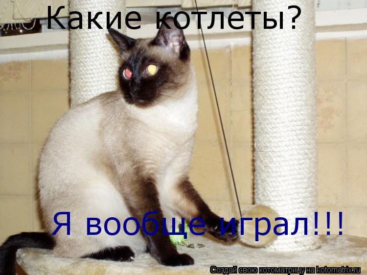 Какие котлеты? Я вообще играл!!!... Котоматрица: Какие котлеты? Я вообще играл!!!