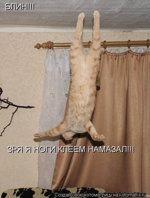 БЛИН!!! ЗРЯ Я НОГИ КЛЕЕМ НАМАЗАЛ!!!... Котоматрица: БЛИН!!! ЗРЯ Я НОГИ КЛЕЕМ НАМАЗАЛ!!!