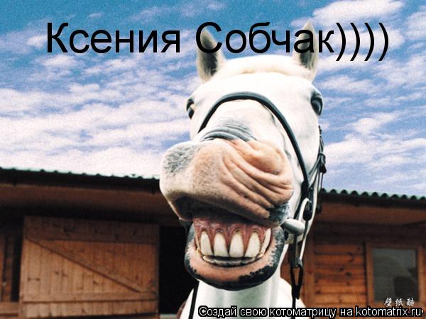 Ксения Собчак))))... Котоматрица: Ксения Собчак))))