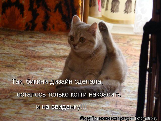Так, бикини-дизайн сделала, осталось только когти накрасить и на свиданку!!!... Котоматрица: Так, бикини-дизайн сделала, осталось только когти накрасить и на свиданку!!!