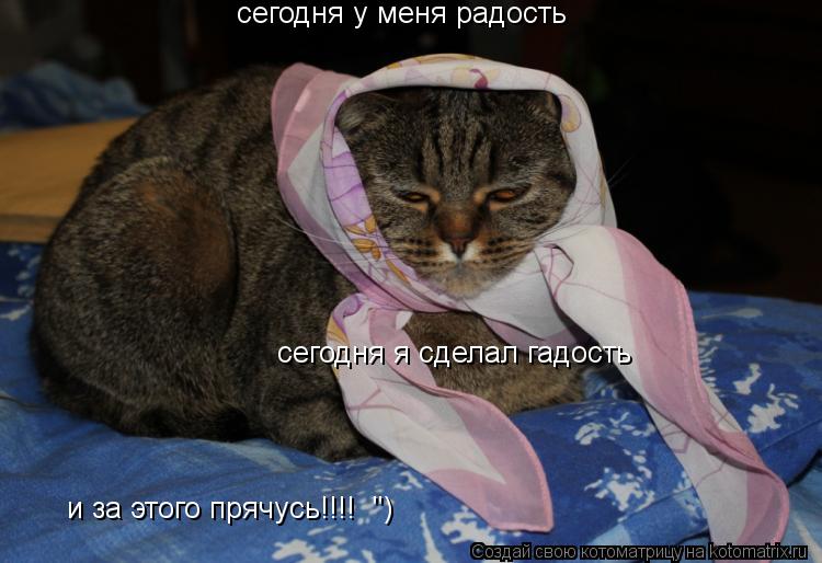 сегодня у меня радость сегодня я сделал гадость и за этого прячусь!!!! ")... Котоматрица: сегодня у меня радость сегодня я сделал гадость и за этого прячусь!!!! ")