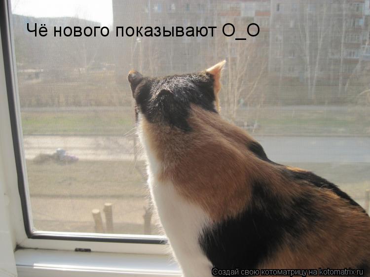 Чё нового показывают O_O... Котоматрица: Чё нового показывают O_O