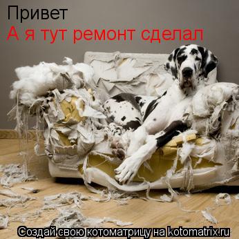 Привет А я тут ремонт сделал... Котоматрица: Привет А я тут ремонт сделал