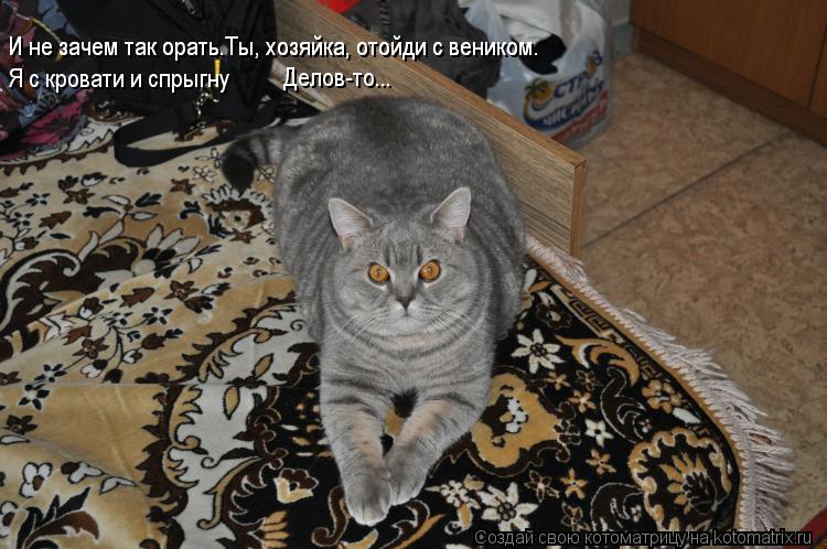 И не зачем так орать.Ты, хозяйка, отойди с веником. И не зачем так орать.Ты, хозяйка, отойди с веник... Котоматрица: И не зачем так орать.Ты, хозяйка, отойди с веником. И не зачем так орать.Ты, хозяйка, отойди с веником. Я с кровати и спрыгну Делов-то...