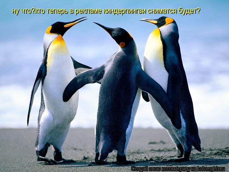 ну что?кто теперь в рекламе киндерпингви сниматся будет?... Котоматрица: ну что?кто теперь в рекламе киндерпингви сниматся будет?