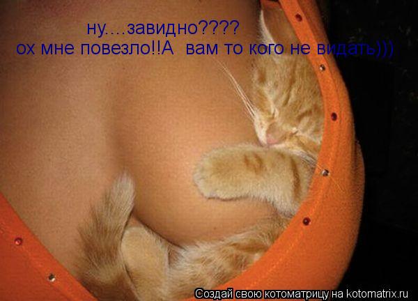 ну....завидно???? ох мне повезло!!А вам то кого не видать)))... Котоматрица: ну....завидно???? ох мне повезло!!А вам то кого не видать)))