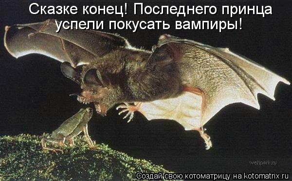 Сказке конец! Последнего принца успели покусать вампиры!... Котоматрица: Сказке конец! Последнего принца успели покусать вампиры!