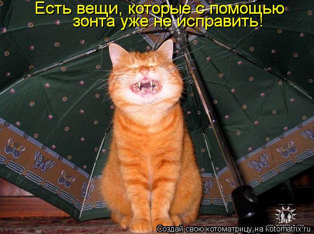 зонта уже не исправить! Есть вещи, которые с помощью... Котоматрица: зонта уже не исправить! Есть вещи, которые с помощью