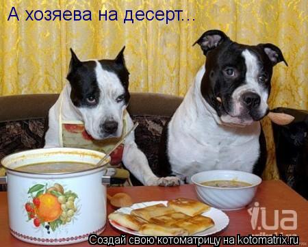 А хозяева на десерт...... Котоматрица: А хозяева на десерт...
