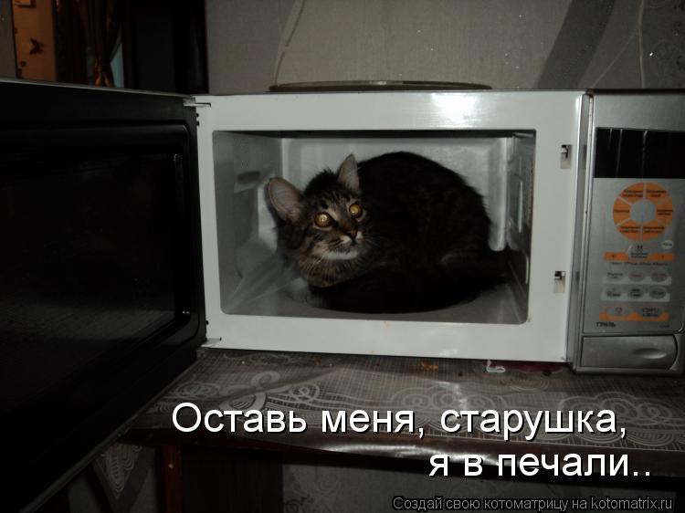 Оставь меня, старушка, я в печали..... Котоматрица: Оставь меня, старушка, я в печали..