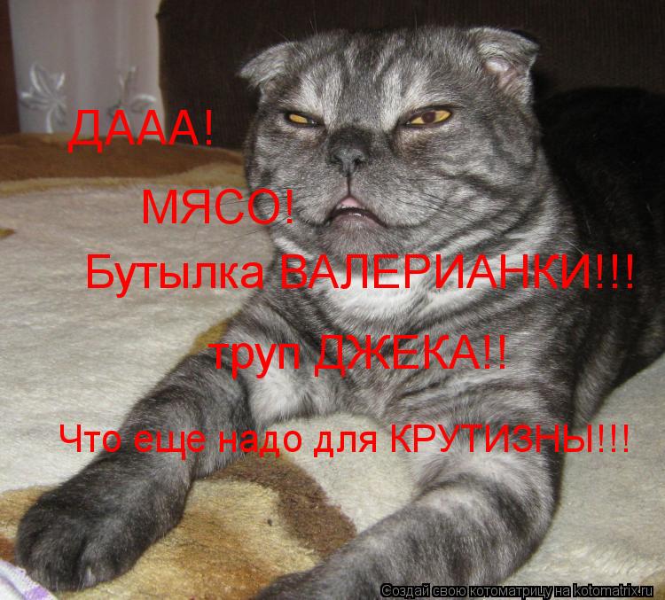 ДААА! МЯСО! Бутылка ВАЛЕРИАНКИ!!! труп ДЖЕКА!! Что еще надо для КРУТИЗНЫ!!!... Котоматрица: ДААА! МЯСО! Бутылка ВАЛЕРИАНКИ!!! труп ДЖЕКА!! Что еще надо для КРУТИЗНЫ!!!