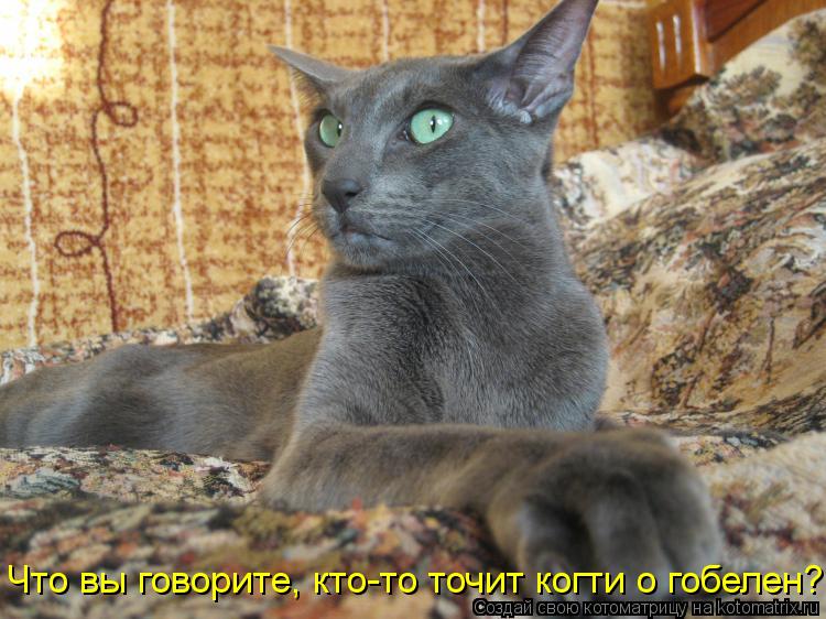 Что вы говорите, кто-то точит когти о гобелен?... Котоматрица: Что вы говорите, кто-то точит когти о гобелен?