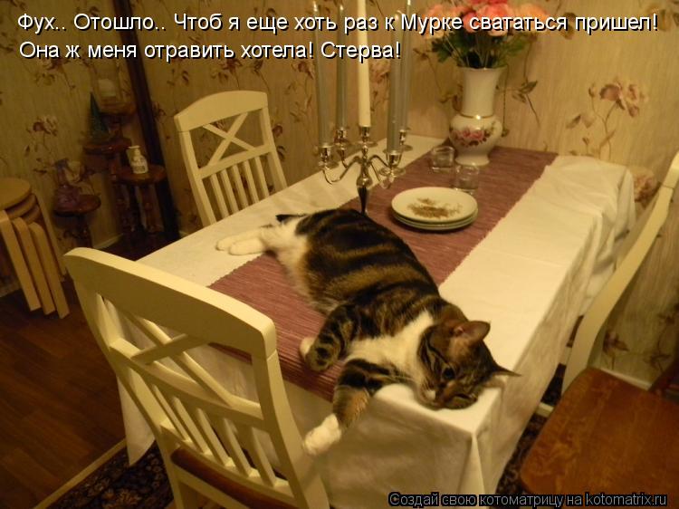 Котоматрица: Фух.. Отошло.. Чтоб я еще хоть раз к Мурке свататься пришел! Она ж меня отравить хотела! Стерва!