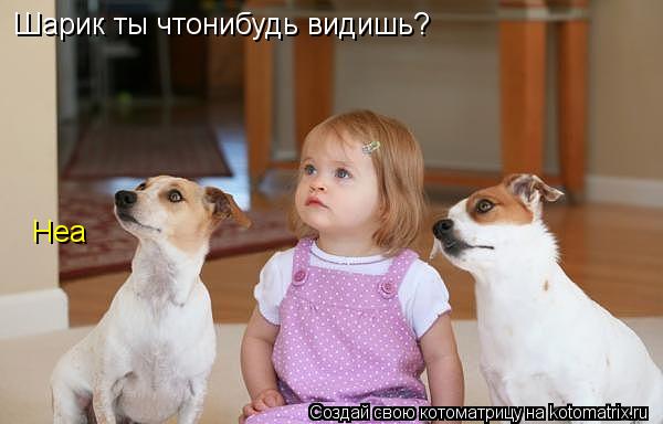 Котоматрица: Шарик ты чтонибудь видишь? Неа