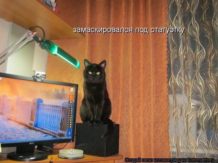 Котоматрица: замаскировался под статуэтку
