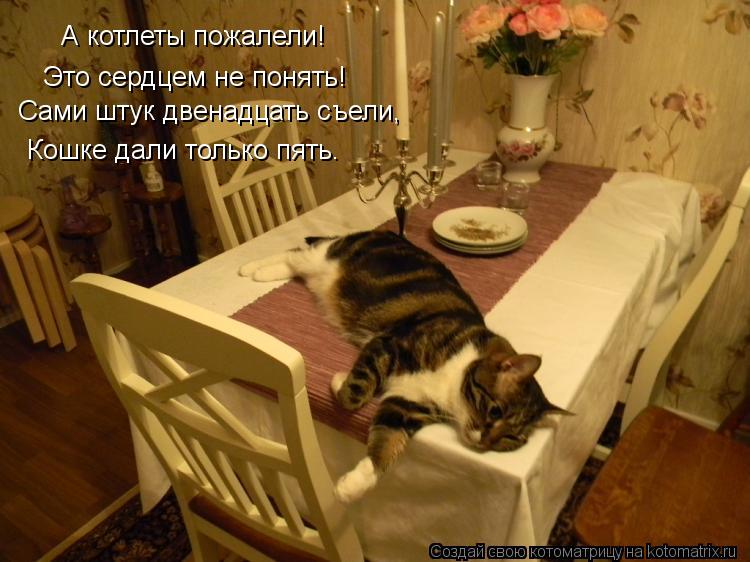Котоматрица: А котлеты пожалели! Это сердцем не понять! Сами штук двенадцать съели, Кошке дали только пять.