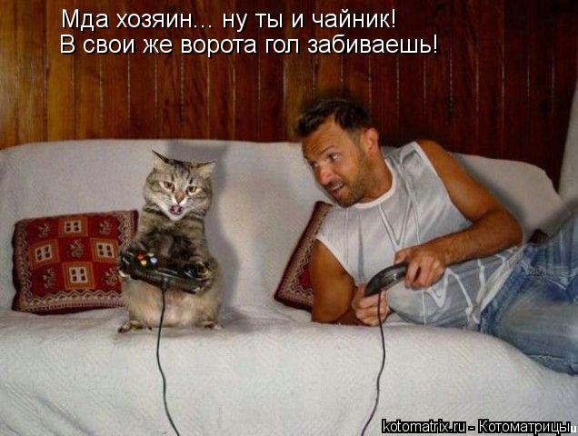 Котоматрица: Мда хозяин... ну ты и чайник!  В свои же ворота гол забиваешь!