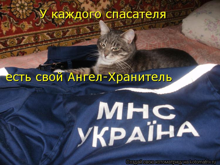 У каждого спасателя есть свой Ангел-Хранитель... Котоматрица: У каждого спасателя есть свой Ангел-Хранитель