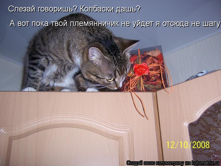 Слезай говоришь? Колбаски дашь? Слезай говоришь? Колбаски дашь? А вот пока твой племянничик не уйдет... Котоматрица: Слезай говоришь? Колбаски дашь? Слезай говоришь? Колбаски дашь? А вот пока твой племянничик не уйдет я отсюда не шагу! А вот пока твой племя