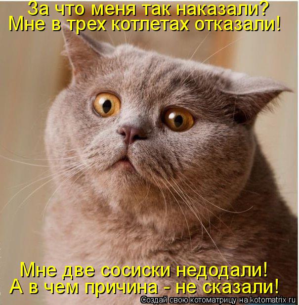 За что меня так наказали? Мне две сосиски недодали! Мне в трех котлетах отказали! А в чем причина - ... Котоматрица: За что меня так наказали? Мне две сосиски недодали! Мне в трех котлетах отказали! А в чем причина - не сказали!