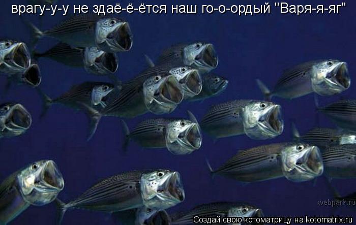 врагу-у-у не здаё-ё-ётся наш го-о-ордый "Варя-я-яг"... Котоматрица: врагу-у-у не здаё-ё-ётся наш го-о-ордый "Варя-я-яг"