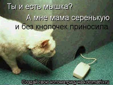 Котоматрица: Ты и есть мышка? А мне мама серенькую  и без кнопочек приносила