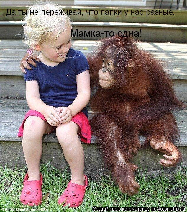 Котоматрица: Мамка-то одна! Да ты не переживай, что папки у нас разные.