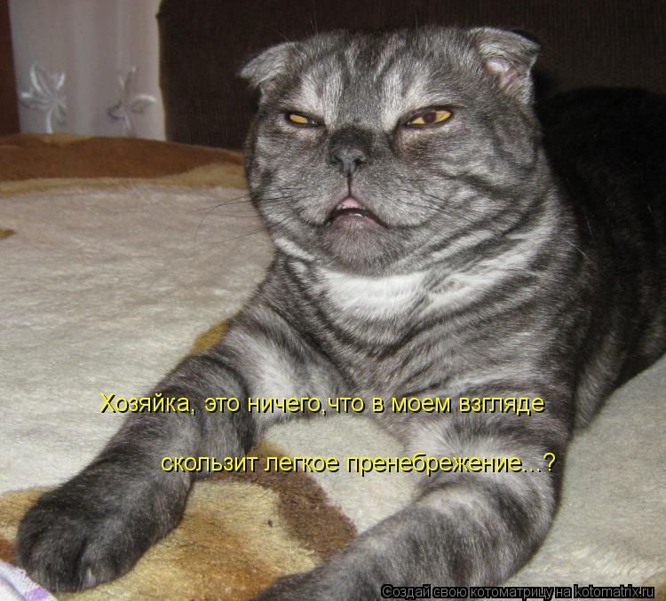 Котоматрица: Хозяйка, это ничего,что в моем взгляде скользит легкое пренебрежение...?