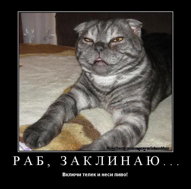 Котоматрица: Раб, заклинаю... Включи телек и неси пиво! 