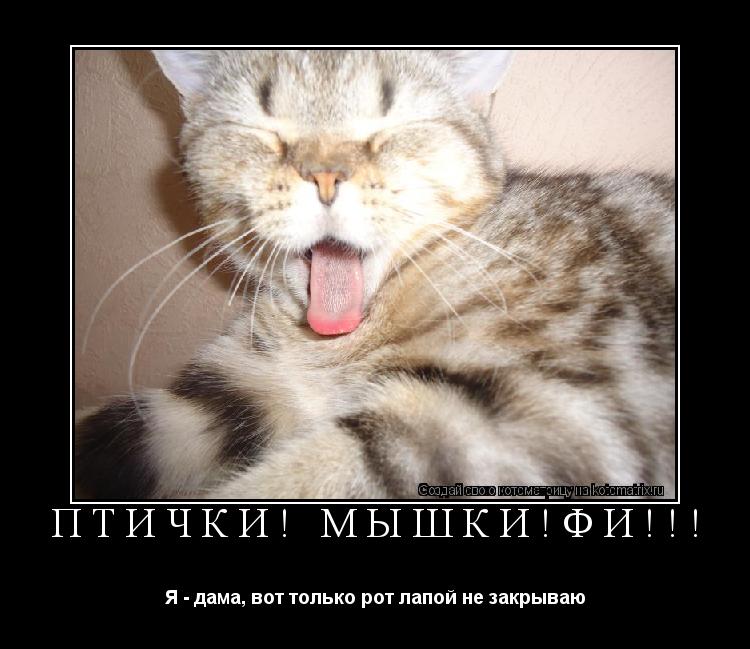 Птички! Мышки!Фи!!! Я - дама, вот только рот лапой не закрываю... Котоматрица: Птички! Мышки!Фи!!! Я - дама, вот только рот лапой не закрываю