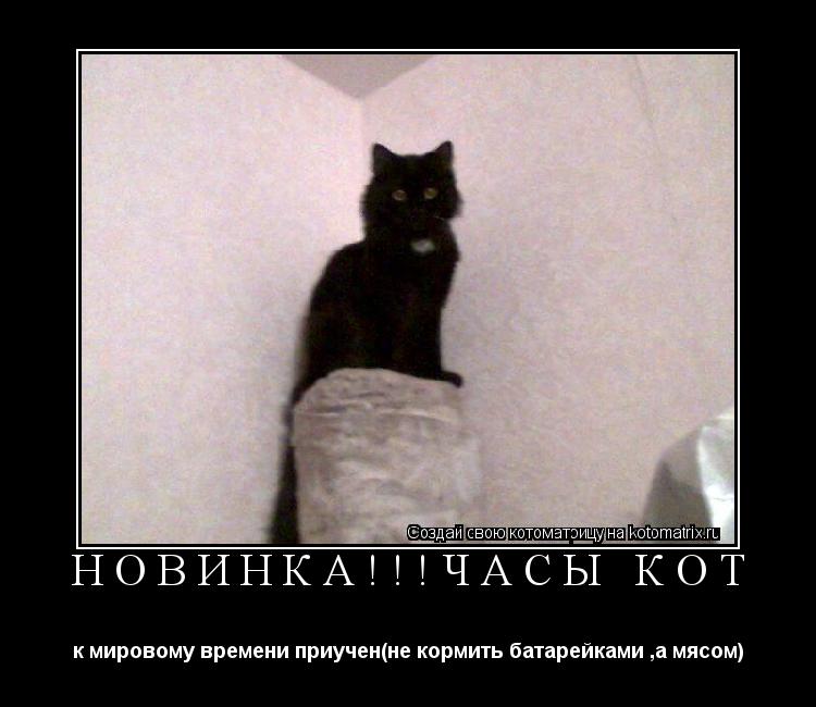 НОВИНКА!!!часы кот к мировому времени приучен(не кормить батарейками ,а мясом)... Котоматрица: НОВИНКА!!!часы кот к мировому времени приучен(не кормить батарейками ,а мясом)