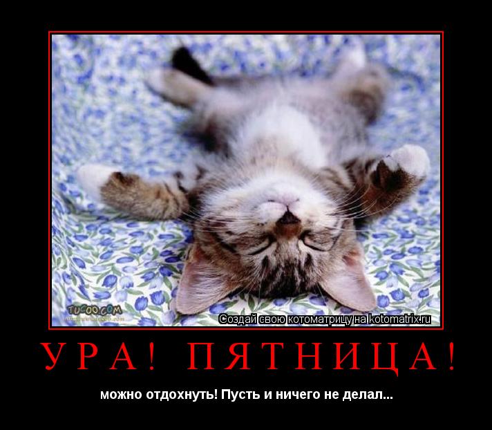 ура! пятница! можно отдохнуть! Пусть и ничего не делал...... Котоматрица: ура! пятница! можно отдохнуть! Пусть и ничего не делал...