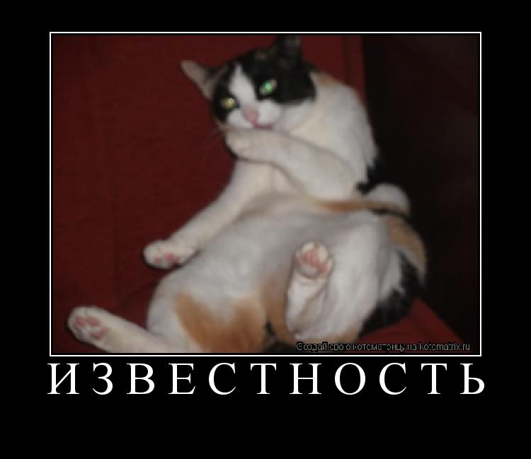 Известность ... Котоматрица: Известность