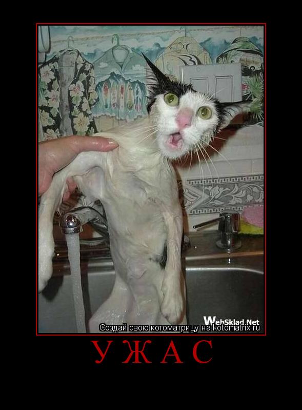 Котоматрица: Ужас 