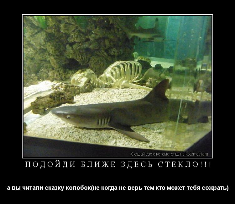 подойди ближе здесь стекло!!! а вы читали сказку колобок(не когда не верь тем кто может тебя сожрать)... Котоматрица: подойди ближе здесь стекло!!! а вы читали сказку колобок(не когда не верь тем кто может тебя сожрать)