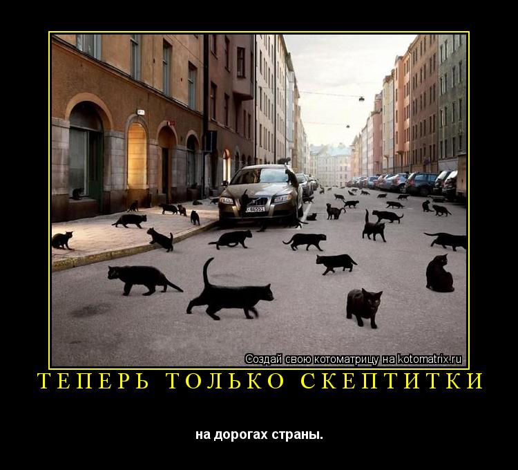 Котоматрица: ТЕПЕРЬ ТОЛЬКО СКЕПТИТКИ на дорогах страны.