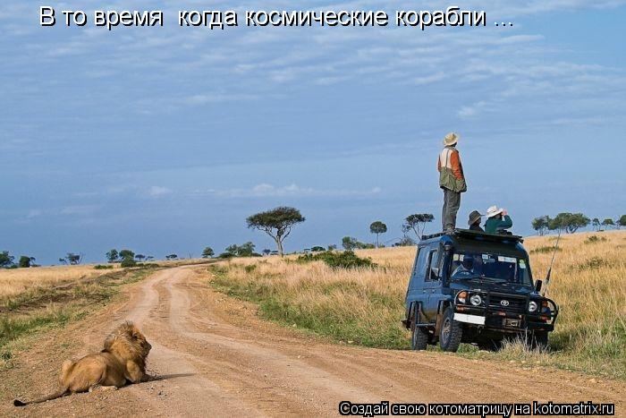 Котоматрица: В то время  когда космические корабли ... В то время  когда космические корабли ... В то время  когда космические корабли ...