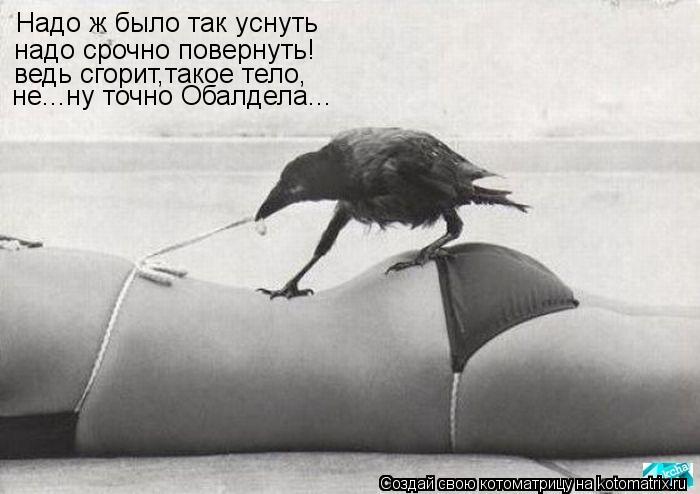 Котоматрица: Надо ж было так уснуть надо срочно повернуть! ведь сгорит,такое тело, не...ну точно Обалдела...